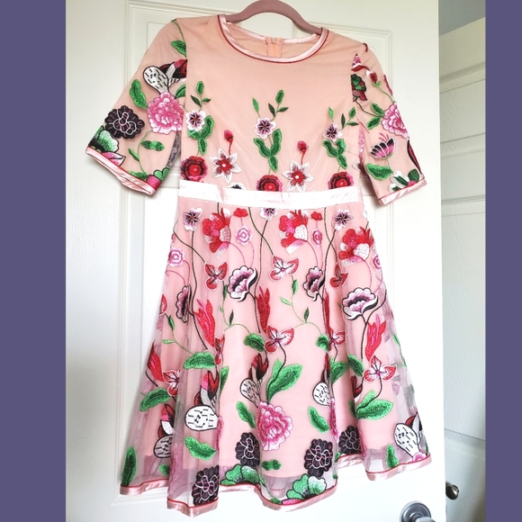 Chicwish embroidered pink mesh floral short dress Medium (fits size small) prom - Picture 3 of 16